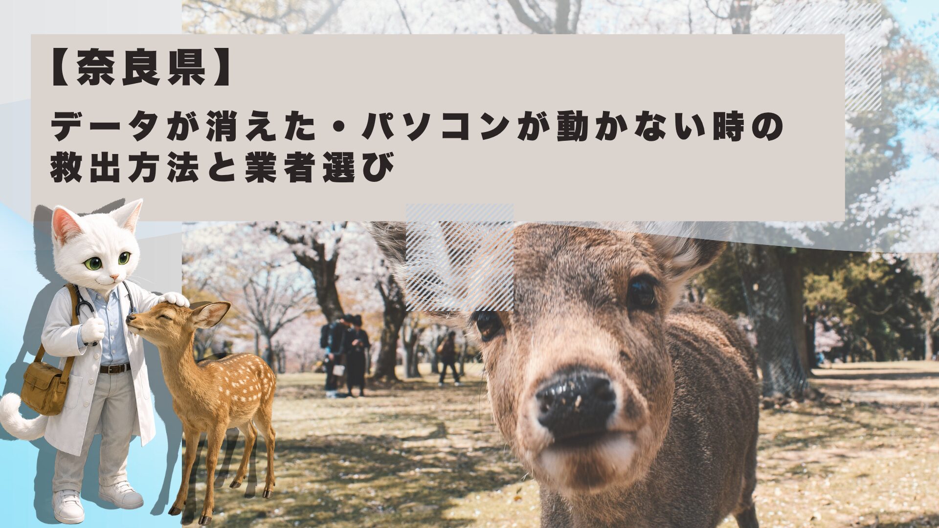 奈良市 データ復旧